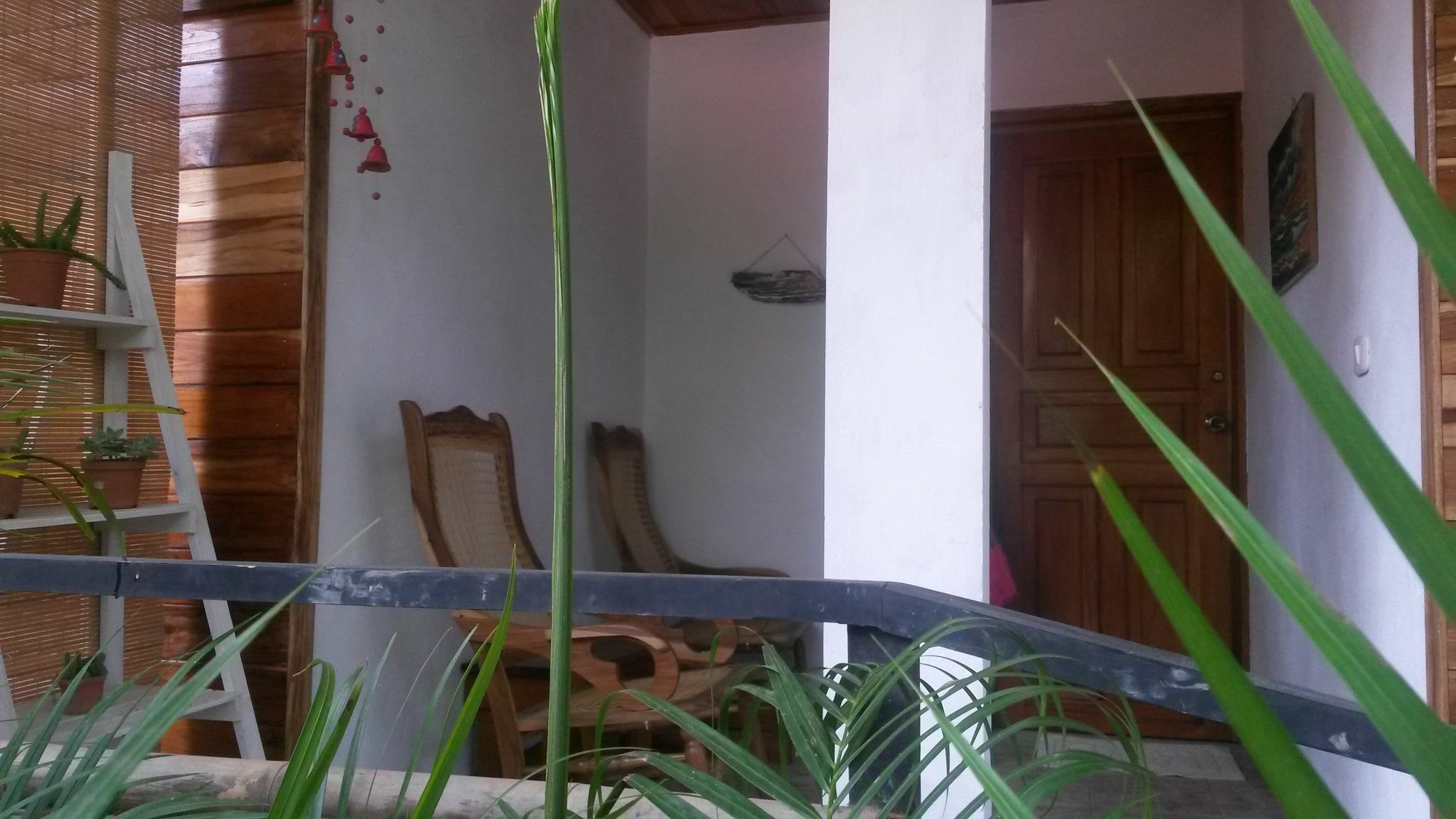 Disfrutalo Hotell Playa Santa Teresa  Eksteriør bilde